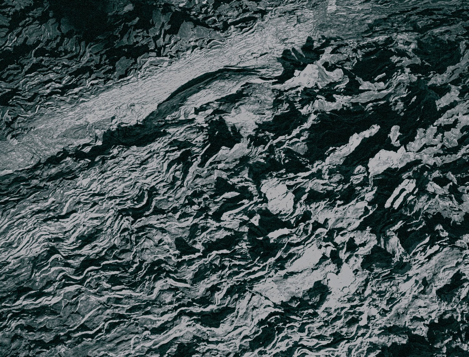 Fossil Marcel van Beek