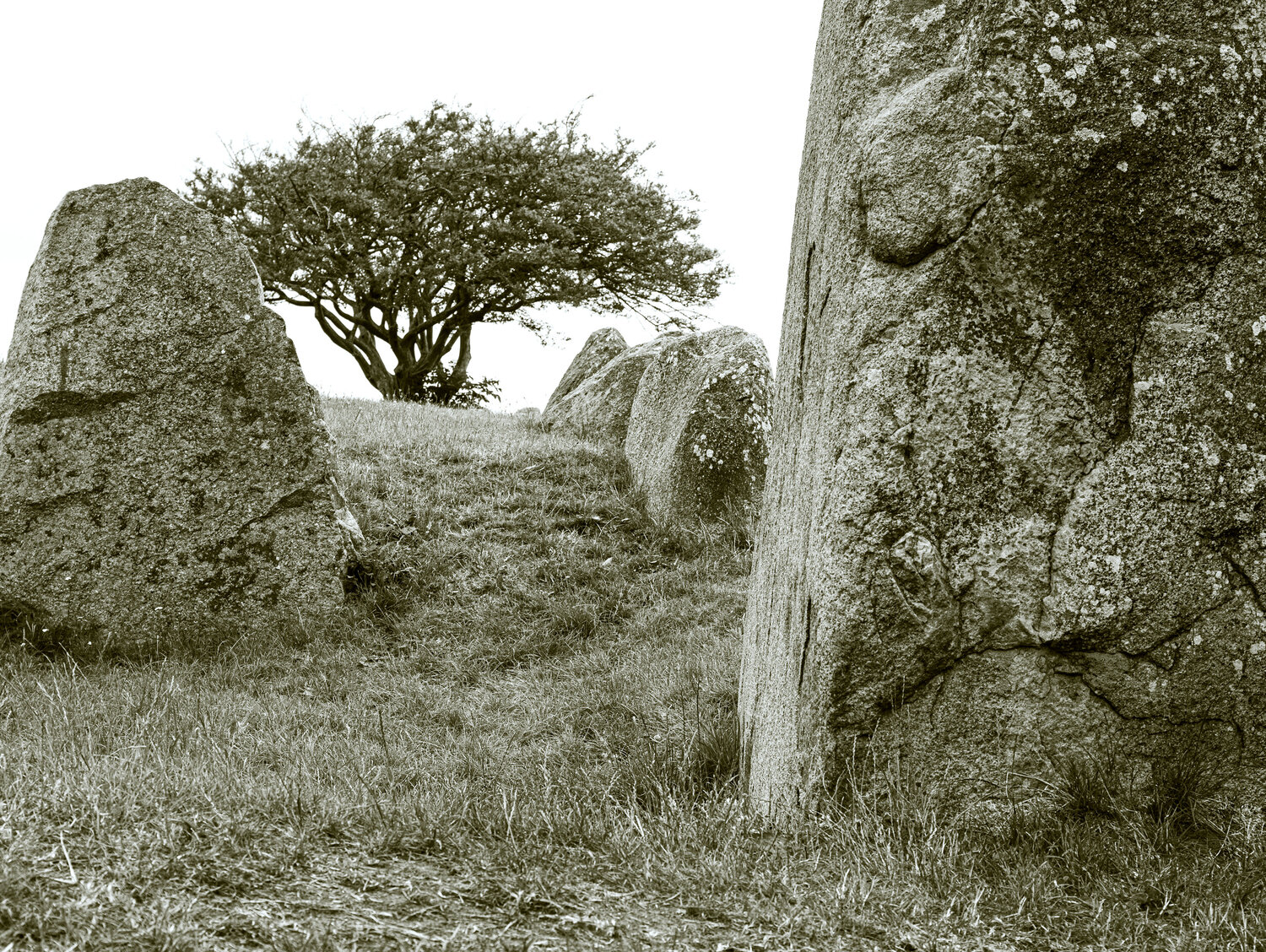 Großsteingrab Riesenberg Marcel van Beek