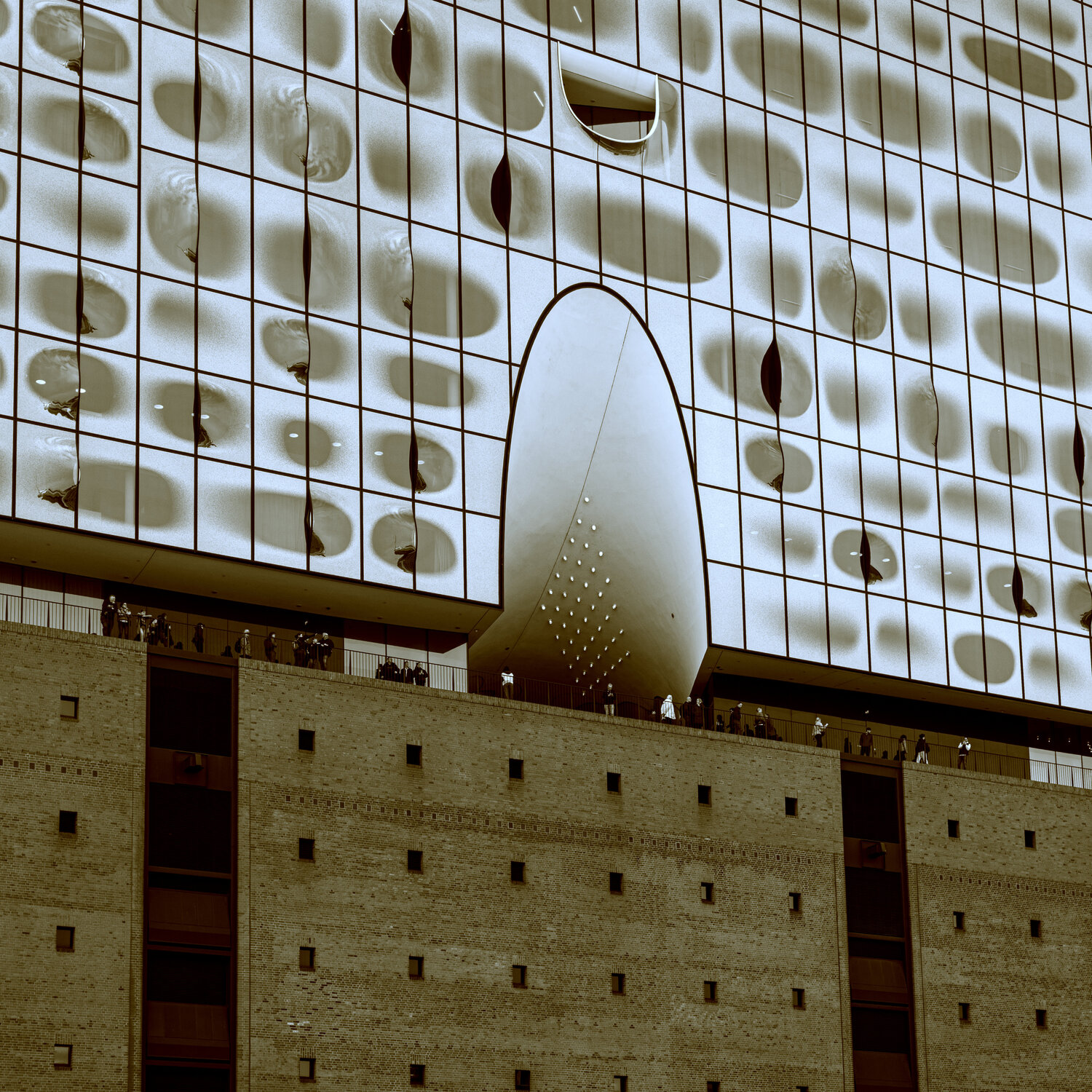 Trypophil - gehöhlte Front (Elbphilharmonie) Marcel van Beek