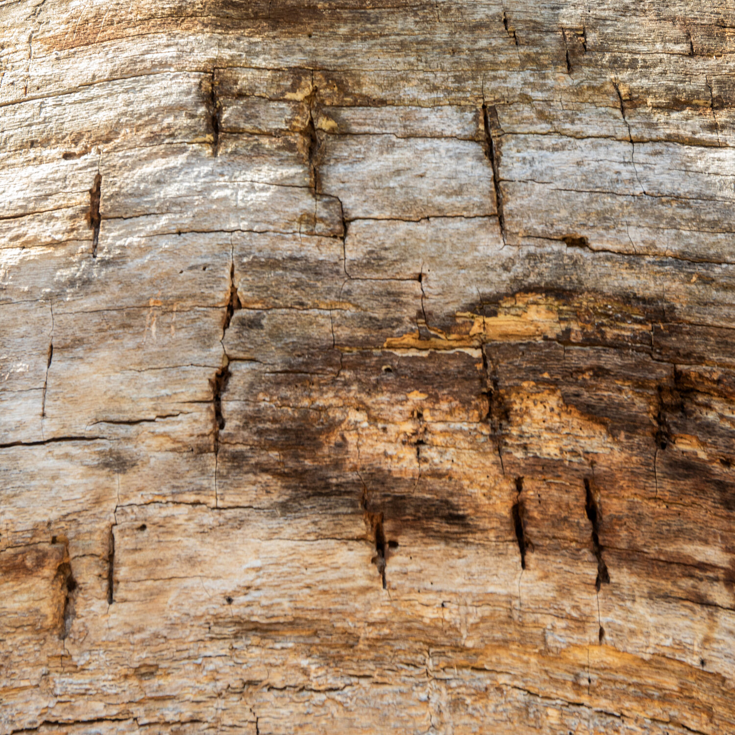 Kerben im Holz Marcel van Beek