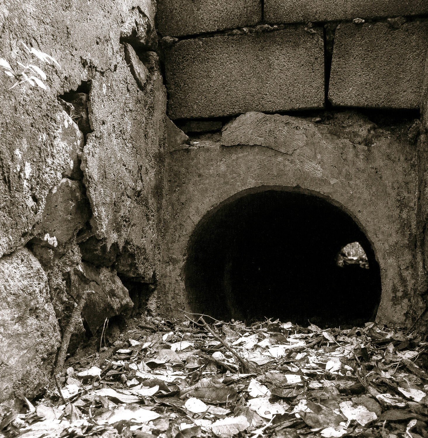Tunnel Marcel van Beek