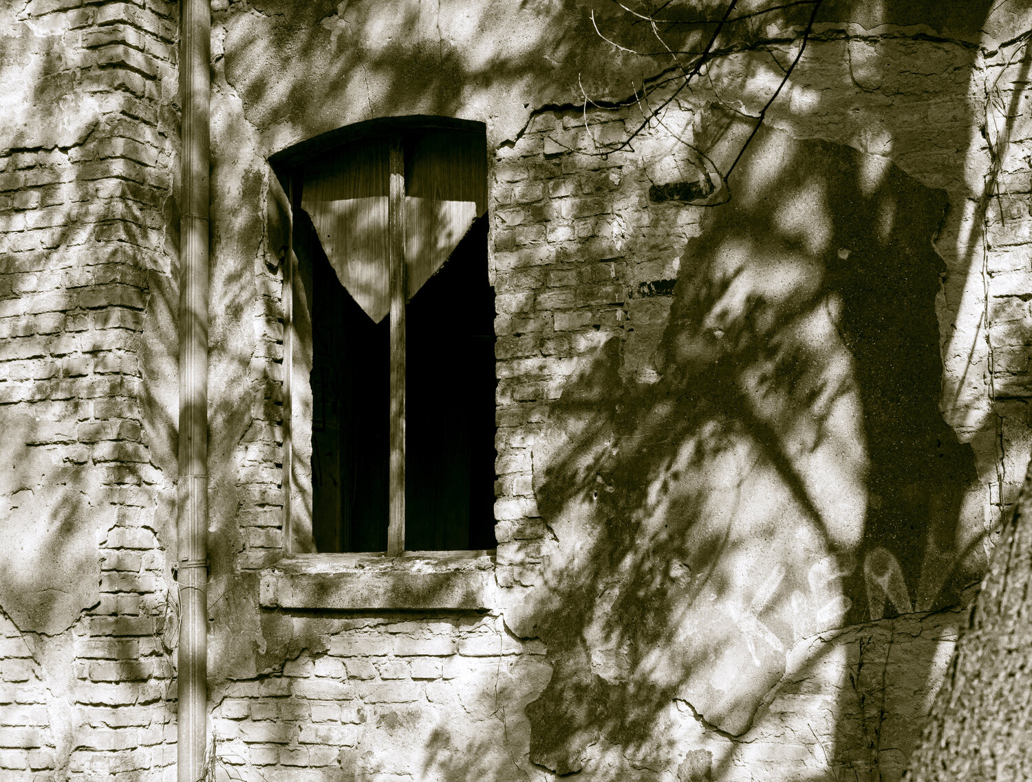 Das Fenster Marcel van Beek