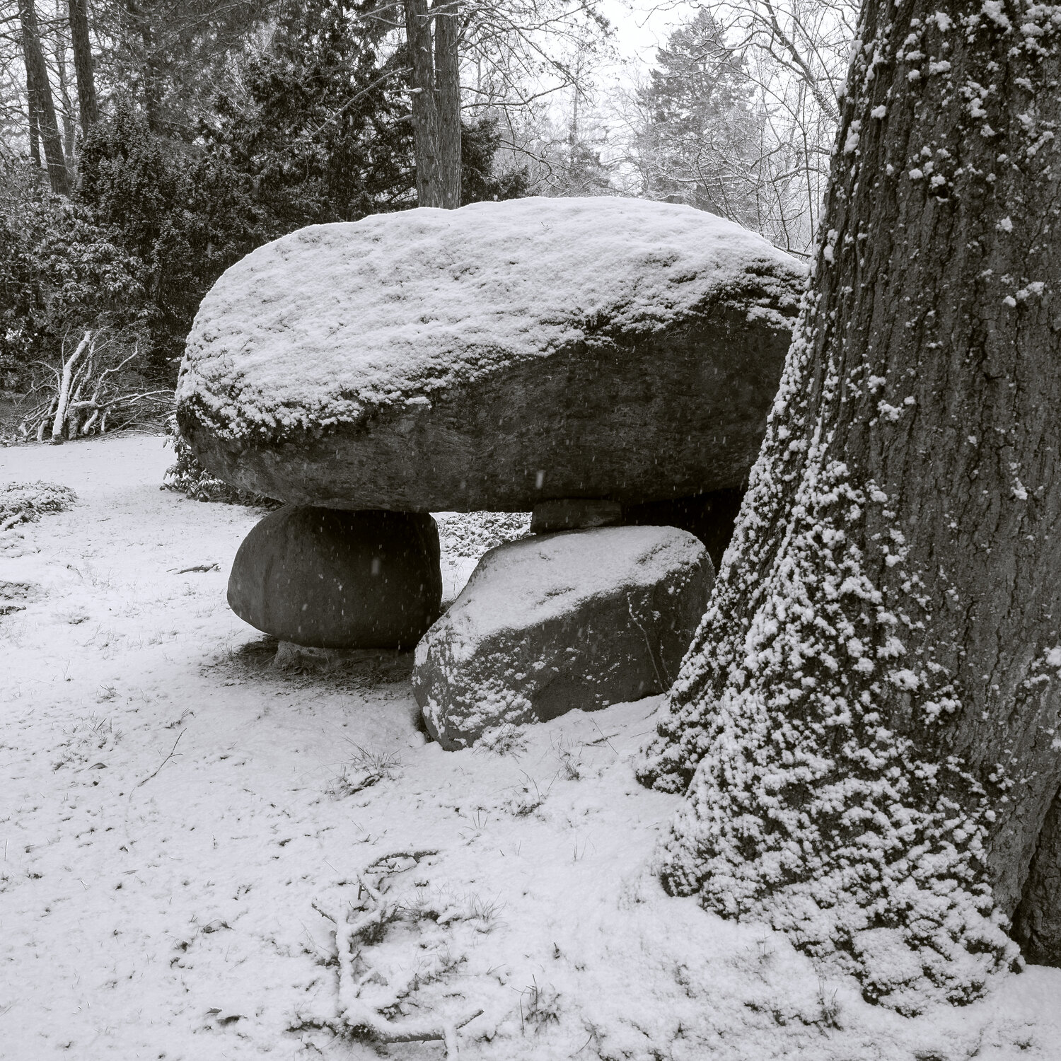 Umarmung des Winters Marcel van Beek