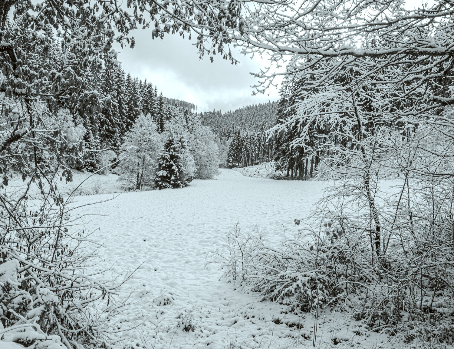 Winteratem Marcel van Beek