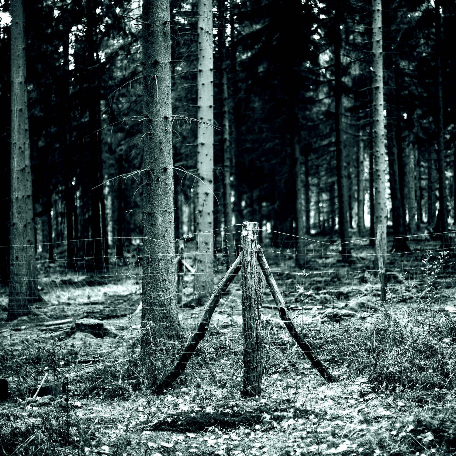 Tatort XIII Marcel van Beek