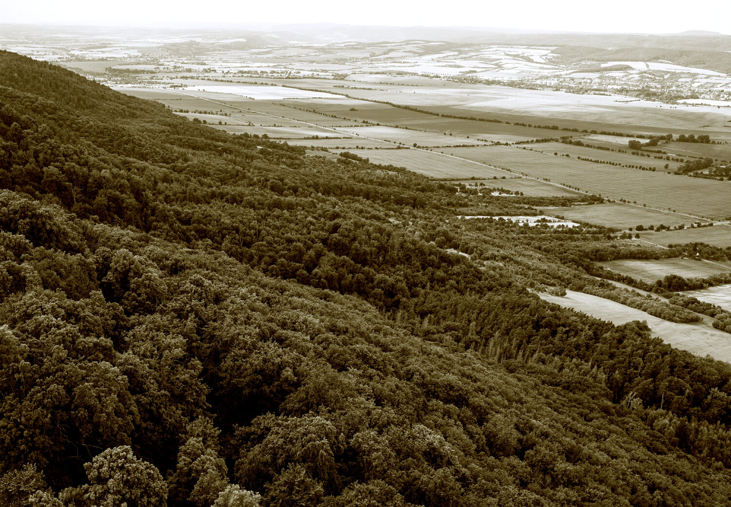 Der Griff der Felder Marcel van Beek