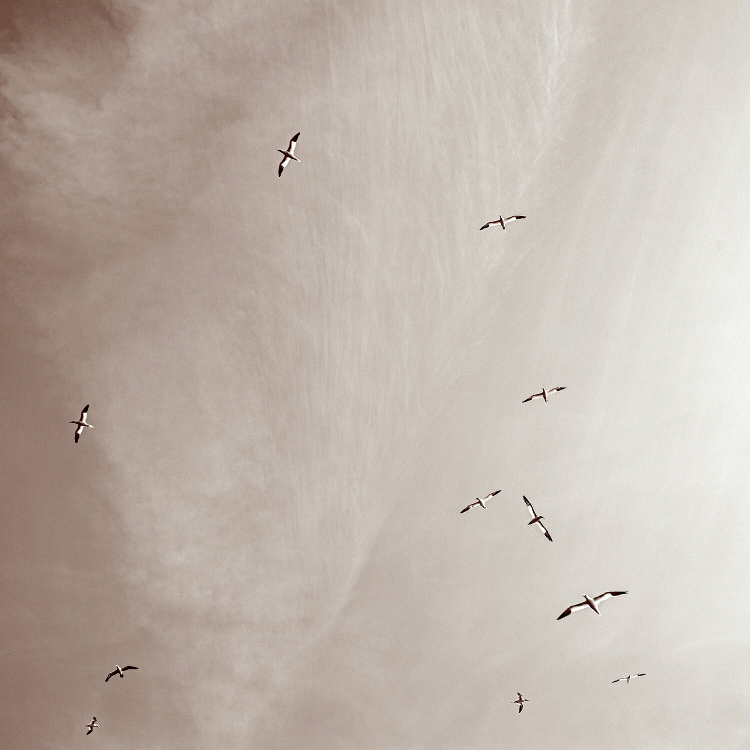 Hoch im Himmel Marcel van Beek