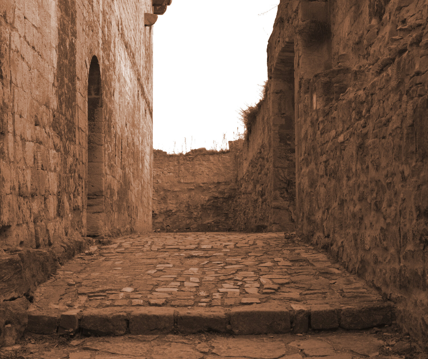 The Amber Corridor (Collectors' Edition) Marcel van Beek