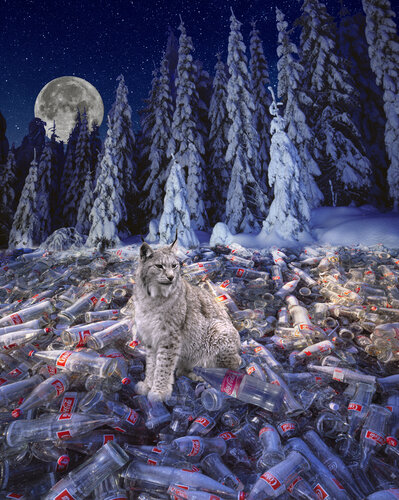 when you leave a Lynx with a Million bottles of Coke - this is what you get. von rolf Sørensen-Lyle, Fotografie kaufen auf Singulart