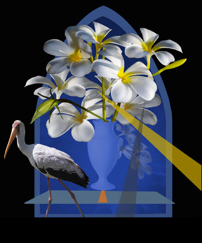 Plumrose van rolf Sørensen-Lyle, Fotografie te koop op Singulart