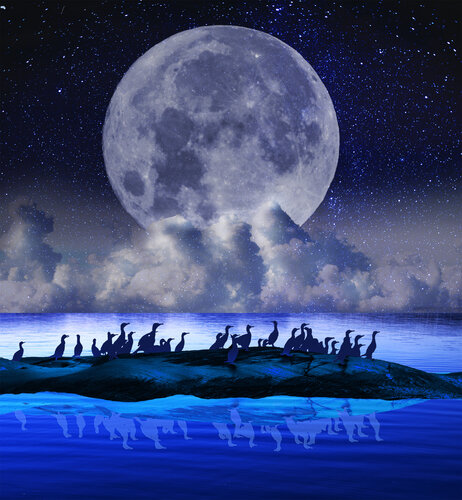 UNDER THE FULL MOON von rolf Sørensen-Lyle, Fotografie kaufen auf Singulart