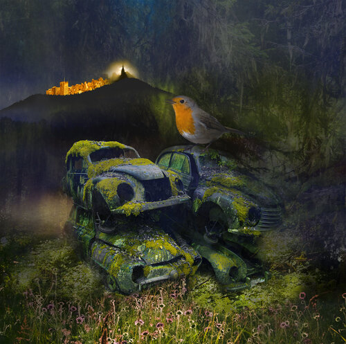 Forgotten II by rolf Sørensen-Lyle, Photography for Sale on Singulart