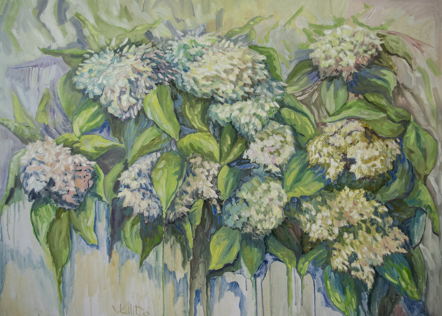 Hydrangea Symphony Lilit Vardanyan