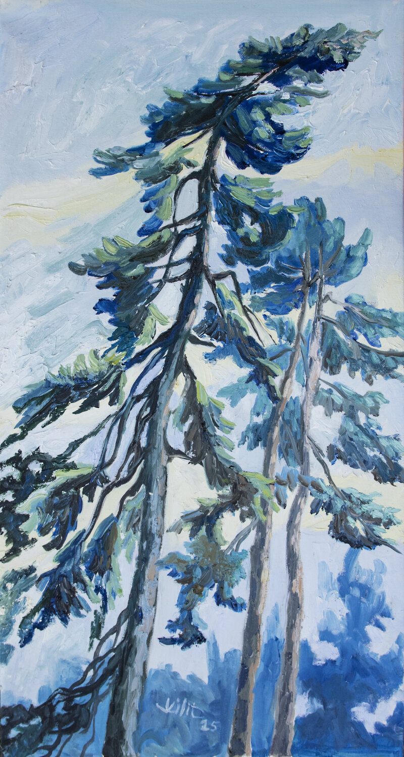 Pine Trees #7 Lilit Vardanyan