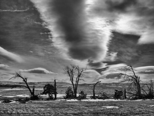 Big Timber Montana von Jeff Corwin, Fotografie kaufen auf Singulart