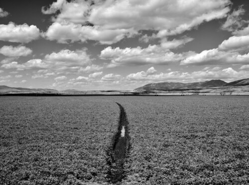Reese Creek Montana di Jeff Corwin, Fotografia in vendita su Singulart