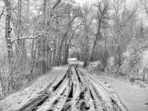 Mission Creek Road Montana Jeff Corwin