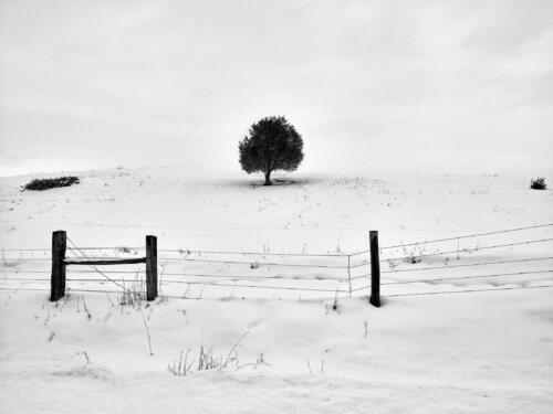 Reese Creek Montana Jeff Corwin