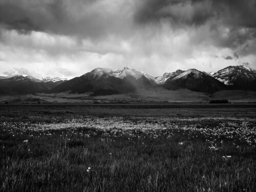 Toston Montana di Jeff Corwin, Fotografia in vendita su Singulart