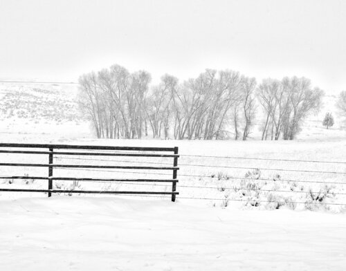 Madison Road Montana di Jeff Corwin, Fotografia in vendita su Singulart