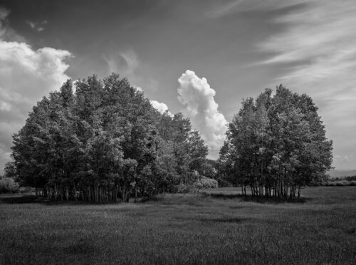 Toston Montana di Jeff Corwin, Fotografia in vendita su Singulart