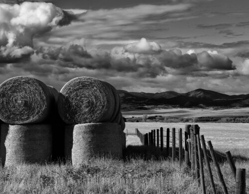Whitehall Montana Jeff Corwin