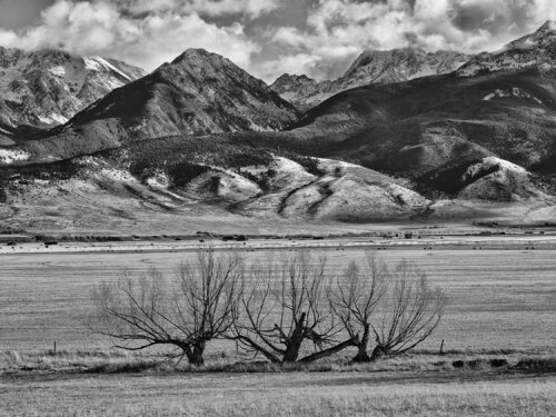 Emigrant Montana di Jeff Corwin, Fotografia in vendita su Singulart