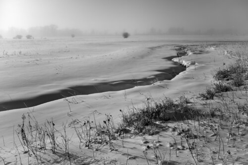 Madison River Road Montana di Jeff Corwin, Fotografia in vendita su Singulart