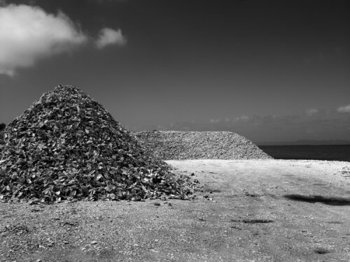 Oysterville, Washington di Jeff Corwin, Fotografia in vendita su Singulart