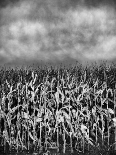 Quincy, Washington di Jeff Corwin, Fotografia in vendita su Singulart