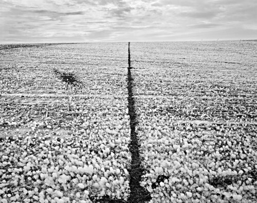 Walla Walla, Washington di Jeff Corwin, Fotografia in vendita su Singulart