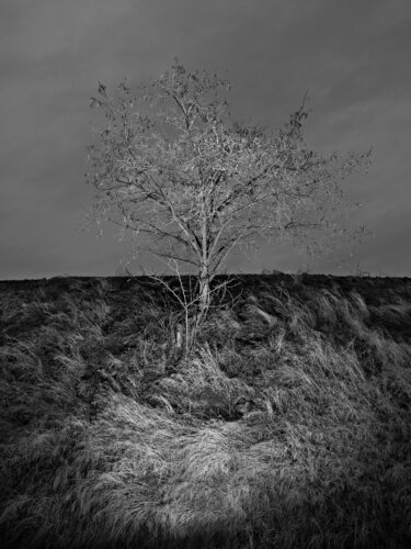 Walla Walla, Washington di Jeff Corwin, Fotografia in vendita su Singulart