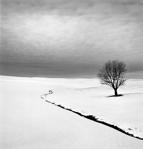 Freedom, Washington Jeff Corwin