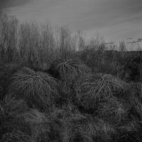 Grand Coulee, Washington by Jeff Corwin, Photography for Sale on Singulart