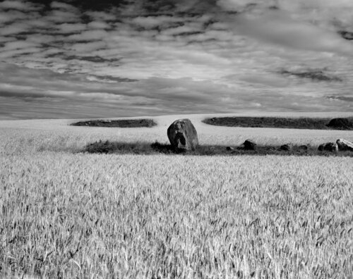 Waterville, Washington by Jeff Corwin, Photography for Sale on Singulart