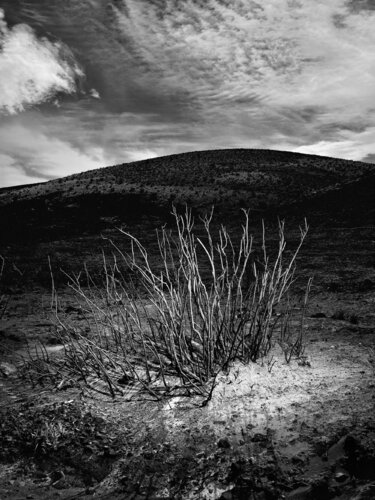 Vantage, Washington di Jeff Corwin, Fotografia in vendita su Singulart