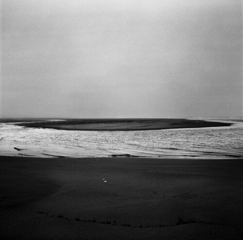 Long Beach, Washington di Jeff Corwin, Fotografia in vendita su Singulart