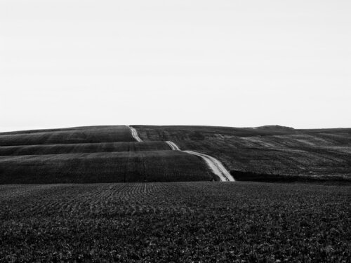 Toston Montana von Jeff Corwin, Fotografie kaufen auf Singulart