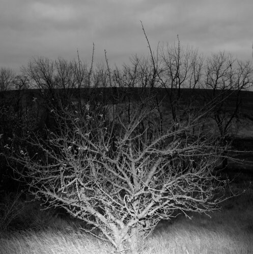 Walla Walla, Washington Jeff Corwin