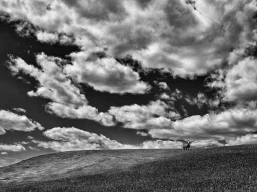 Reece Creek Montana di Jeff Corwin, Fotografia in vendita su Singulart