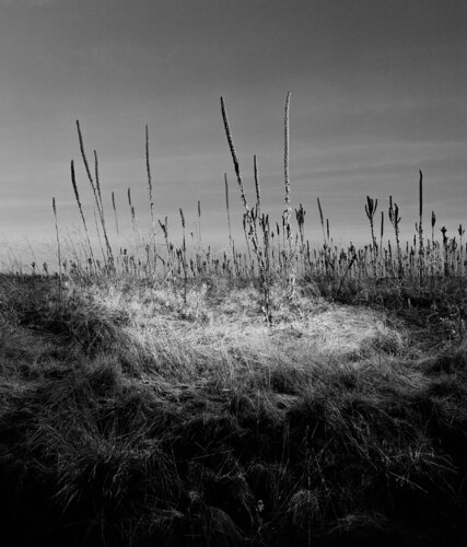Ephrata, Washington van Jeff Corwin, Fotografie te koop op Singulart