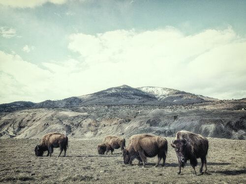 Gardiner Montana van Jeff Corwin, Fotografie te koop op Singulart