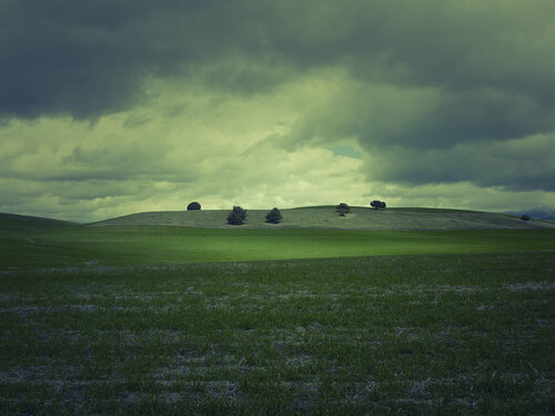 Springhill Montana de Jeff Corwin, Fotografía a la venta en Singulart