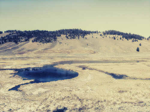 Yellowstone Park Montana di Jeff Corwin, Fotografia in vendita su Singulart