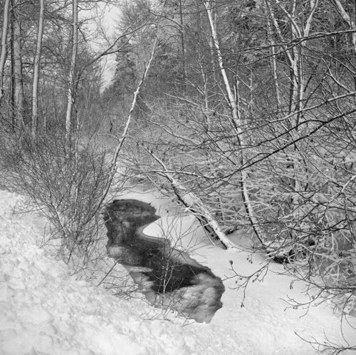 Bear Creek, Montana Jeff Corwin