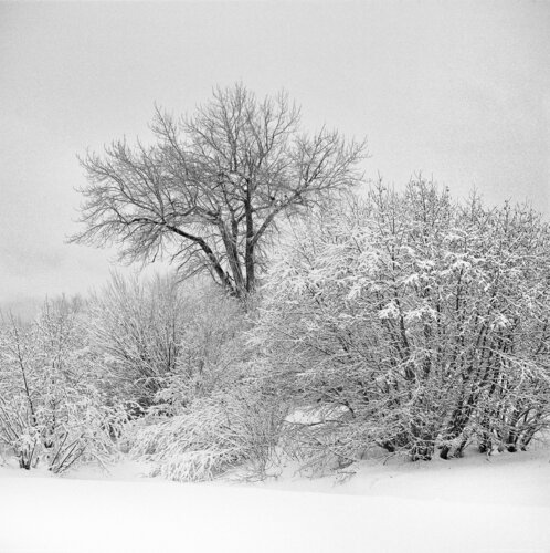 Bozeman, Montana Jeff Corwin