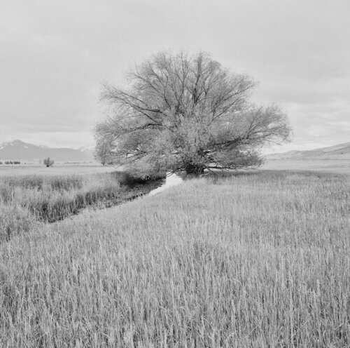 Paradise Valley, Montana von Jeff Corwin, Fotografie kaufen auf Singulart