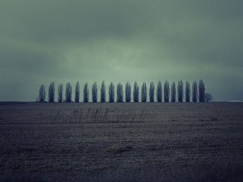 Davenport, Washington by Jeff Corwin, Photography for Sale on Singulart