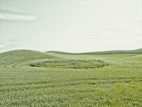 Glenwood, Washington de Jeff Corwin, Fotografía a la venta en Singulart