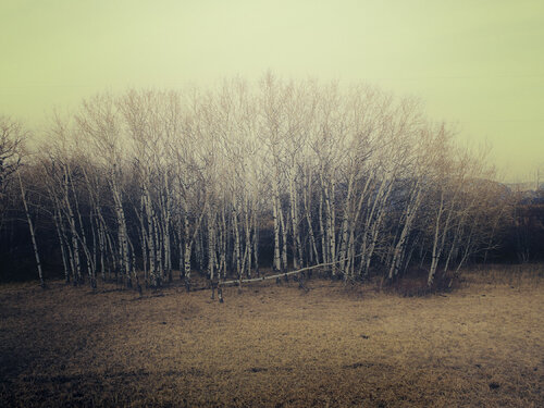 Springhill Montana Jeff Corwin